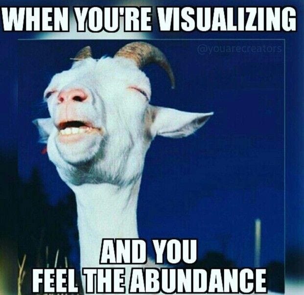Abundance | Funny spiritual memes, Life humor, Funny animal memes