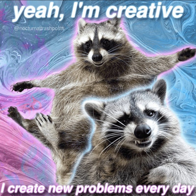 Raccoon Memes For All You Party Animals About To Have A Trashy Weekend (24  Memes) - Animal Comedy - Animal Comedy, funny animals, animal gifs