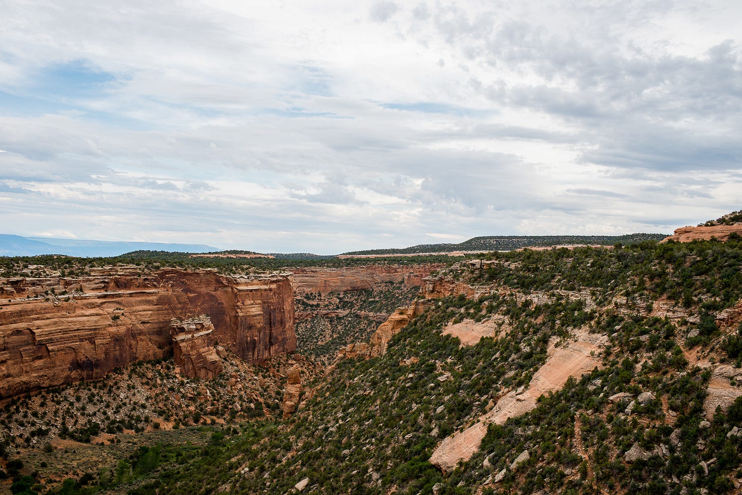 View of rock formations and high desert vegetation.