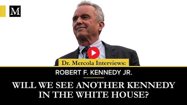 Will We See Another Kennedy in the White House?