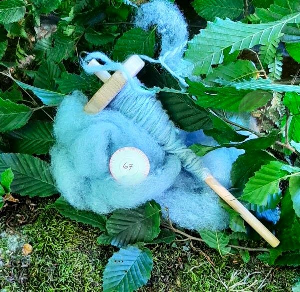 The Creatrix Experience ©2024 Elizabeth des Roches  The Coterie