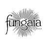 Fungaia Newsletter