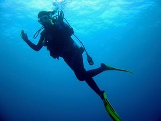 Three images of a scuba diver underwater, one with a sea turtle.