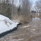 Flood Watch Extended Across Grey Sauble Watershed as Warm Weather, Rain Raise Flood Risk