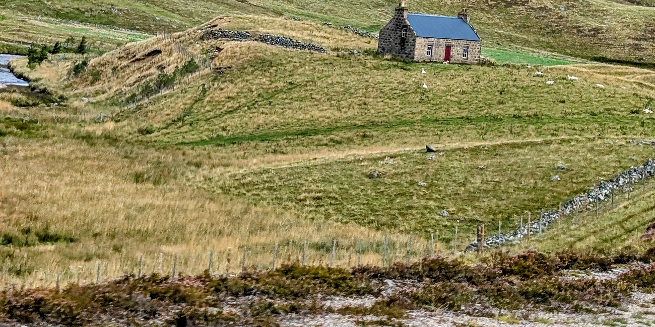 While Everyone Panics About AI, Midlife Women Are Having the Last Laugh