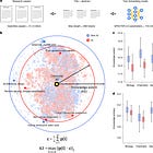 AI Amplifies Careers and Compresses Fields