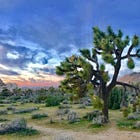 If you’re not using “declarative teams," you have only an illusion of control