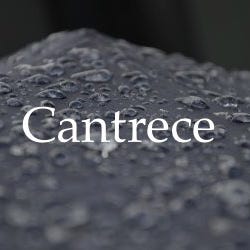 Cantrece, LLC