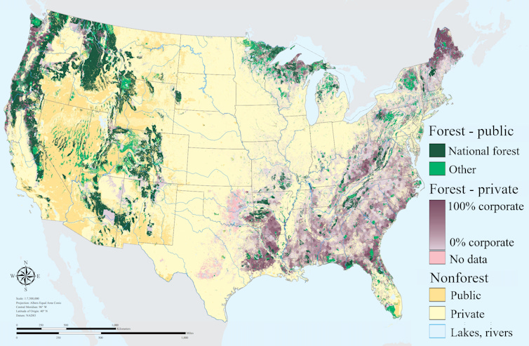 A map showing forests and other lands shows much of the western U.S. forest land is public, while most of that in the East is privately owned.