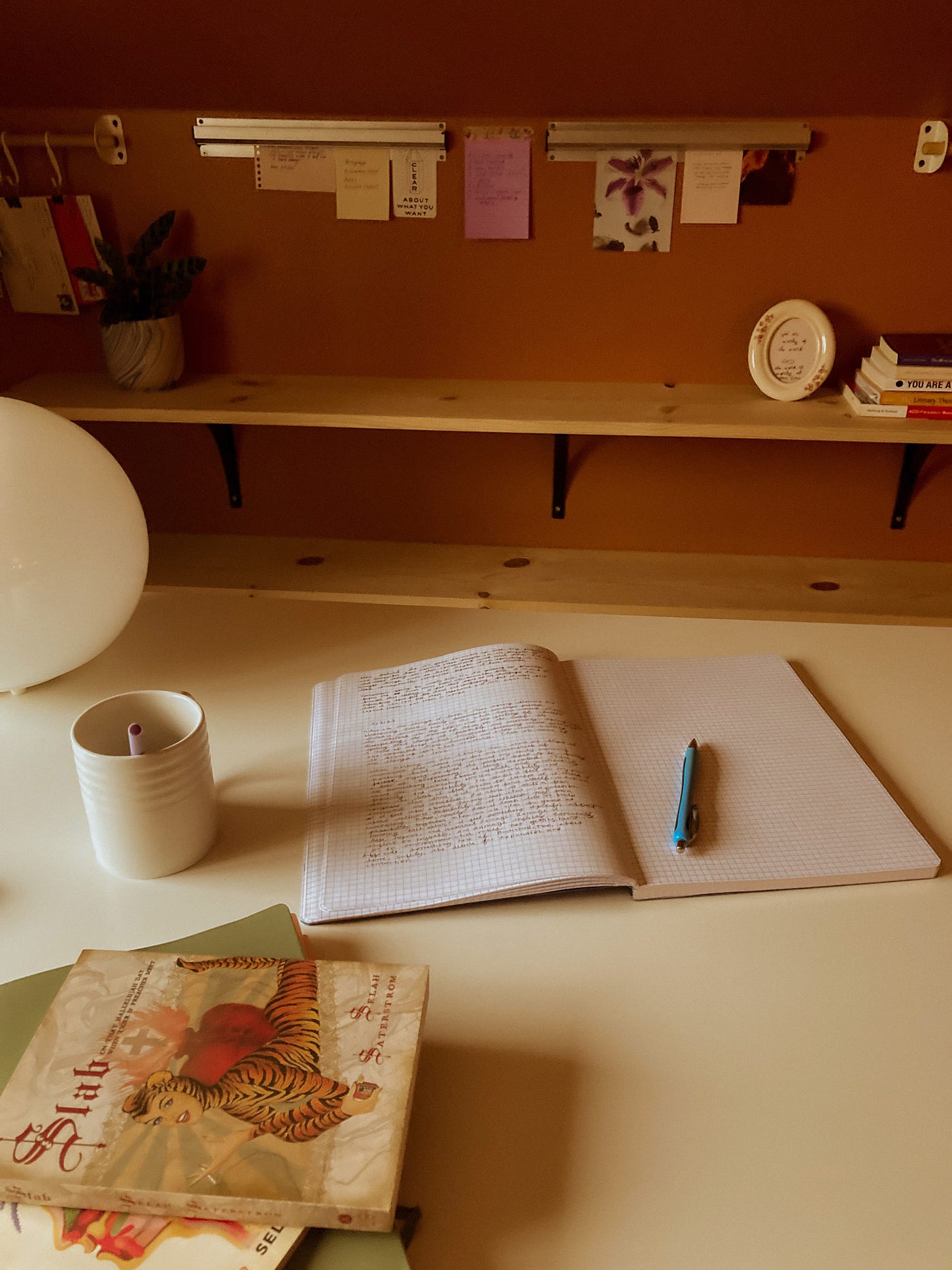 A notebook is open on a desk, next to Selah Saterstrom's book Slab, and a mug.