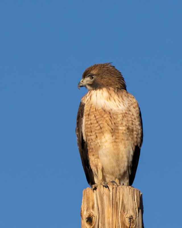 20251116-misc-120-Edit.jpg 20251116-misc-120-Edit.jpg