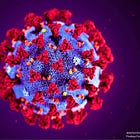 Was the Wuhan 'COVID Spike' Really HERV-K—A Human Protein Mistaken for a Virus?