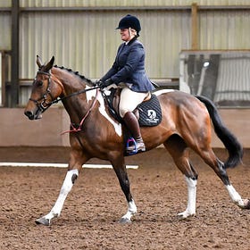 Summer Dressage Days at Laurel View