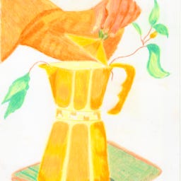 Virginie Dessine Newsletter 