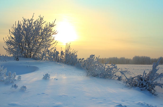 Image of a winter morning with snow and a green-blue sky.
