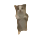 a blurry picture of a cat standing on its hind legs .