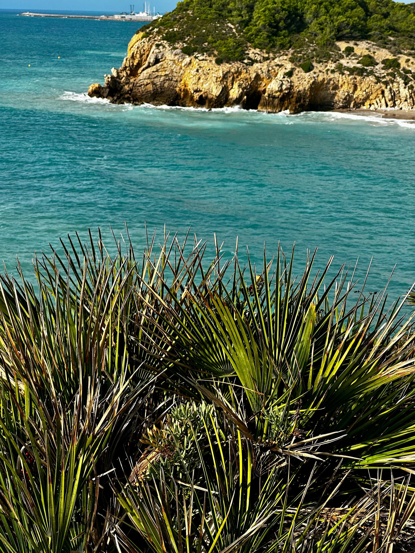 The Camí de Vilanova a Sitges 