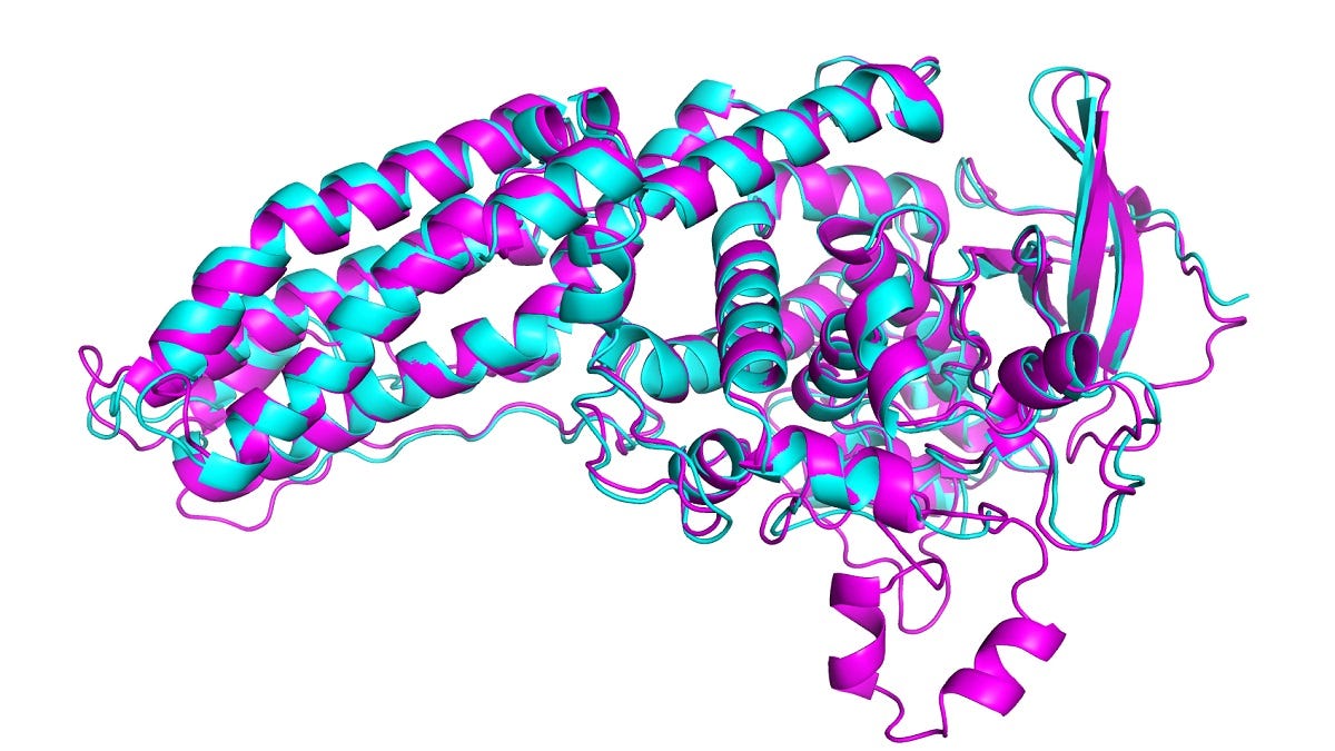 DeepMind's protein-folding AI has solved a 50-year-old grand challenge of  biology | MIT Technology Review
