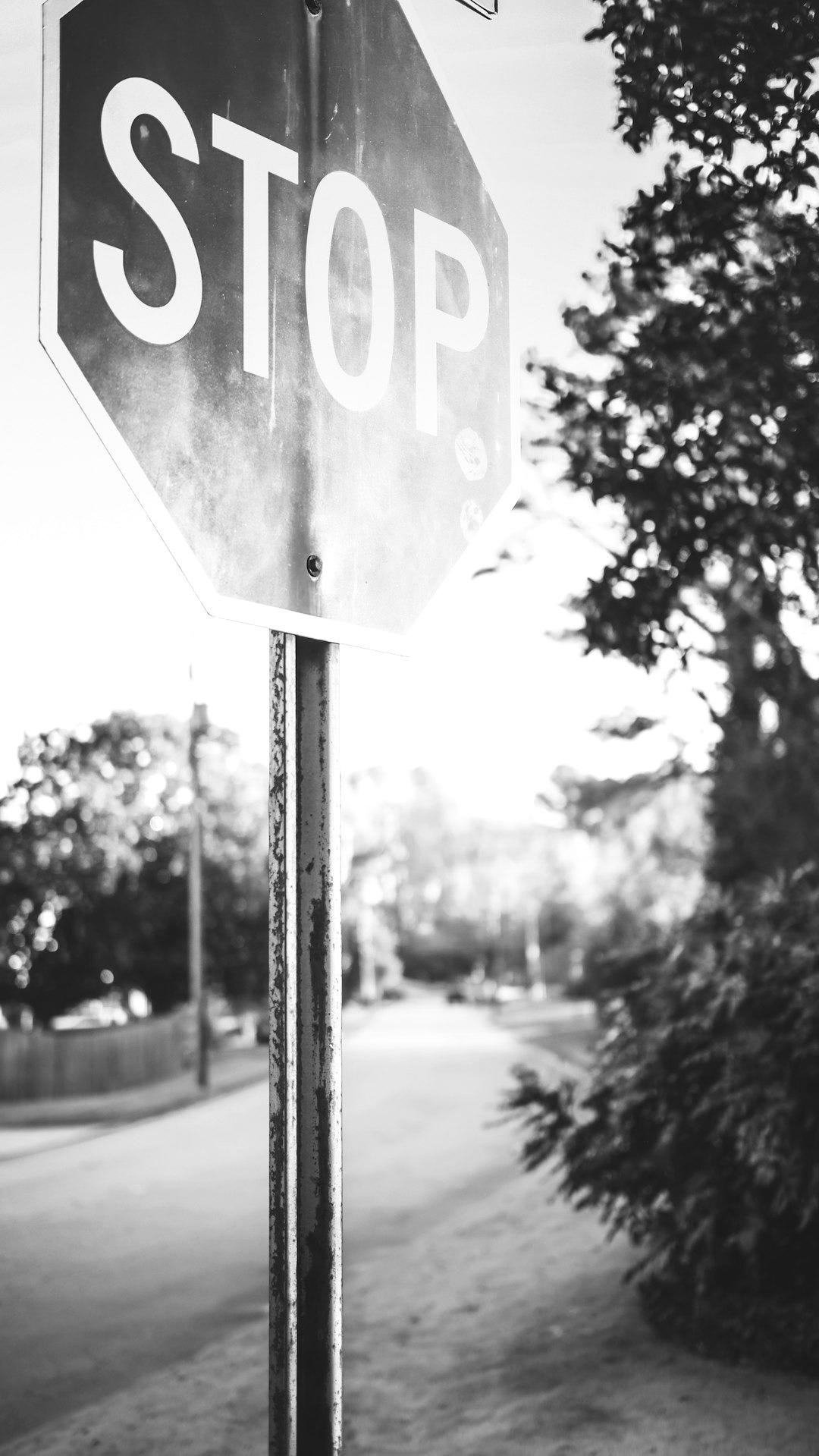 Stop signage Stop signage