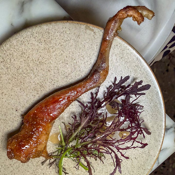 acquered, crisp-skinned pigeon breast with seared turnip, greens, and glossy red jus at Semilla