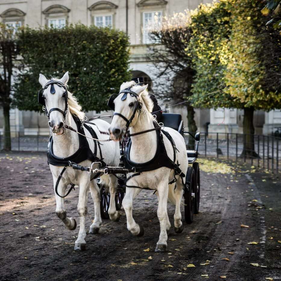 Julianne’s Substack