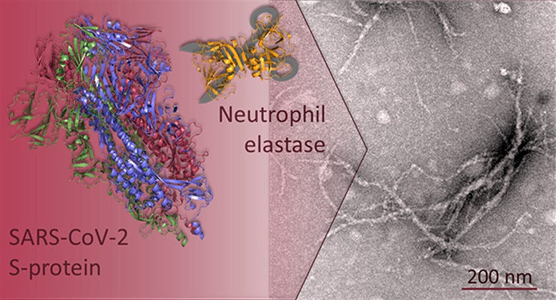 https://pubs.acs.org/cms/10.1021/jacs.2c03925/asset/images/large/ja2c03925_0006.jpeg