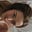 stephanie ・₊✧'s avatar