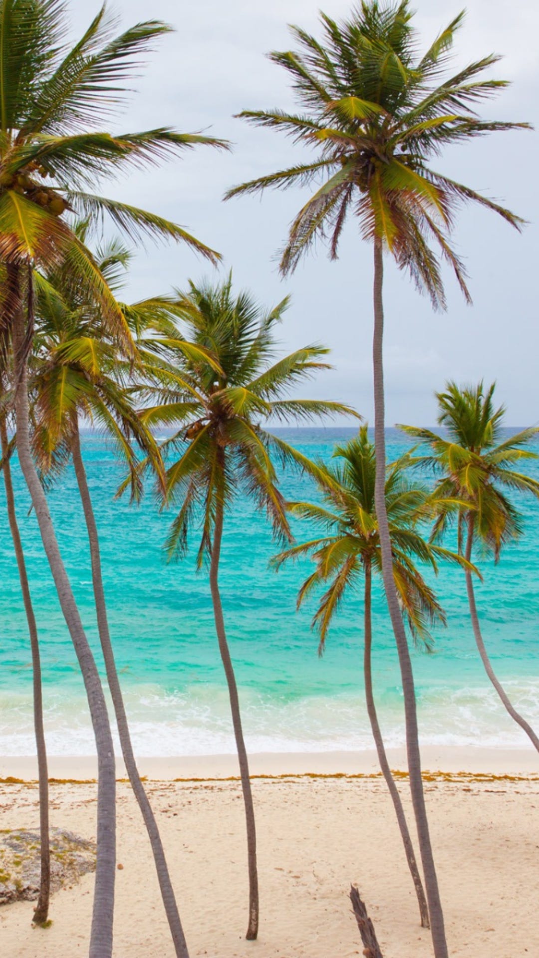 SUMMER WALLPAPERS FOR IPHONE – BEST SUMMER BACKGROUNDS FOR YOUR PHONE, image size:1080x1920