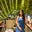 Shreya Goel's avatar