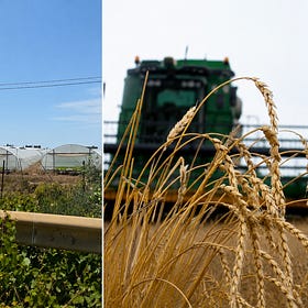What I Saw in Sicily—and the Food Shock Already in Motion