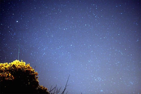 Comet_holmes_and_Geminid121307