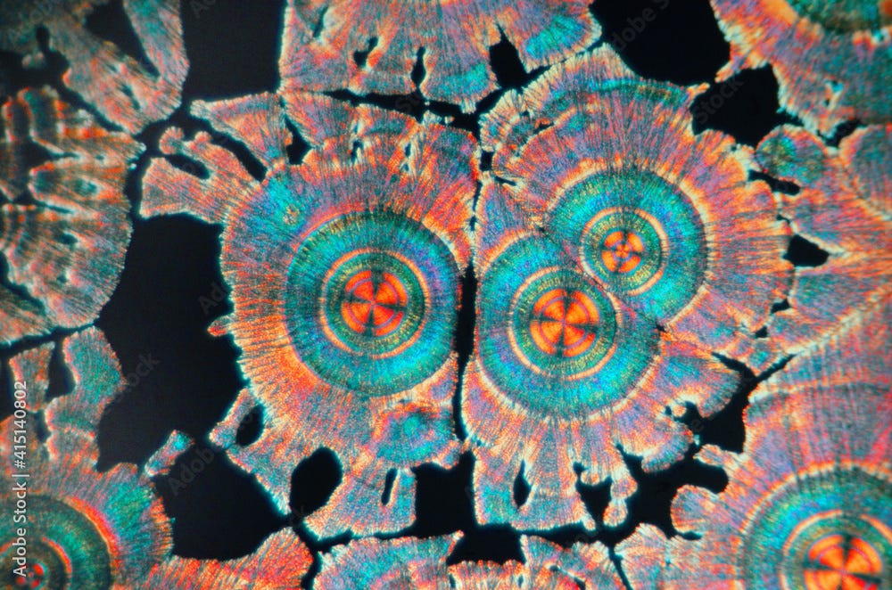 Vitamin C crystal under the microscope using polarized light Stock Photo |  Adobe Stock