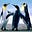 just a penguin's avatar