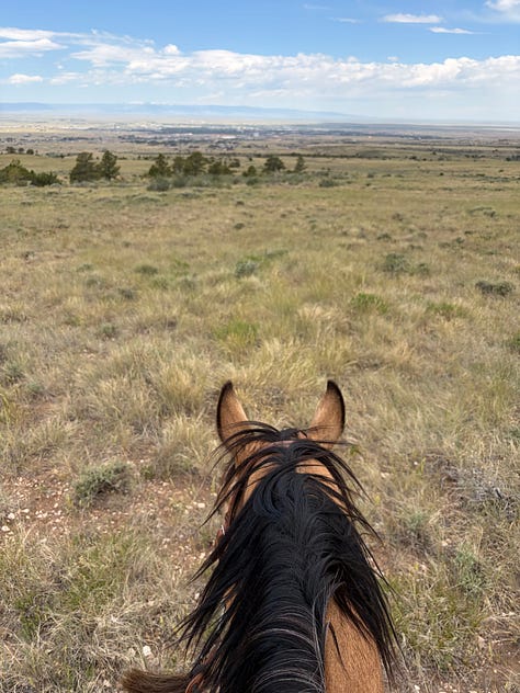 Images of the author’s time hiking, horseback riding, camping, fihsing, etc. in and around Laramie, WY