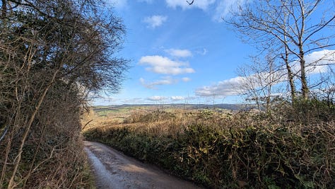 Landscapes and Devon hedgerows