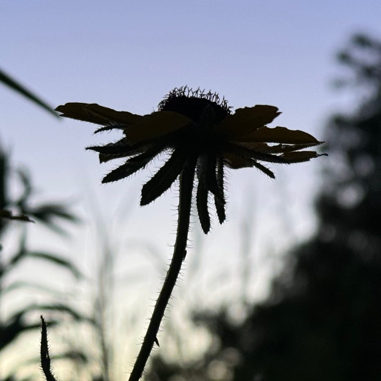 Vivify Life \ud83c\udf31✨\ud83c\udf0a