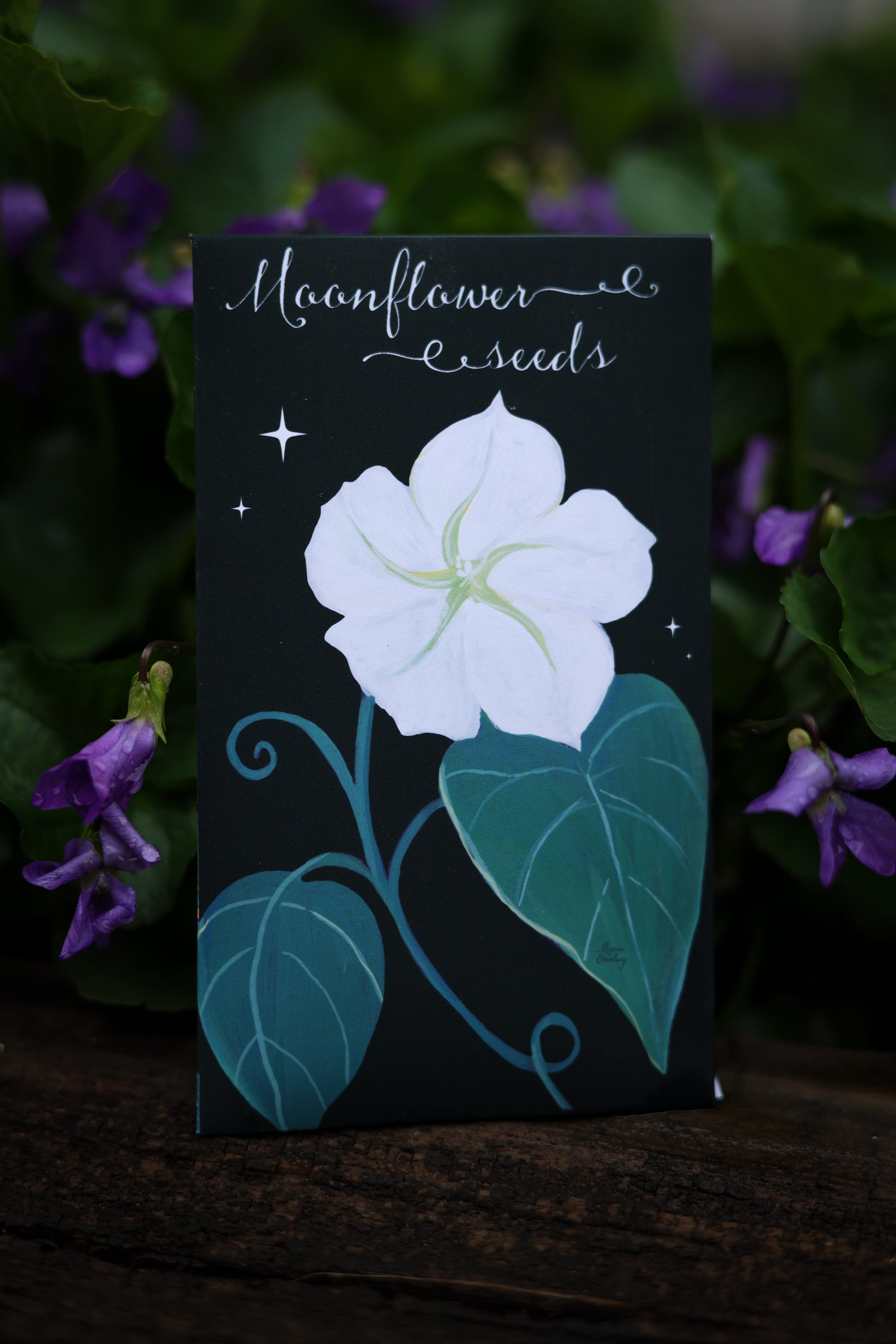 I Had a Dream About Planting a Garden - Maria Overlay Art