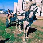 Do the Roma abuse their animals?