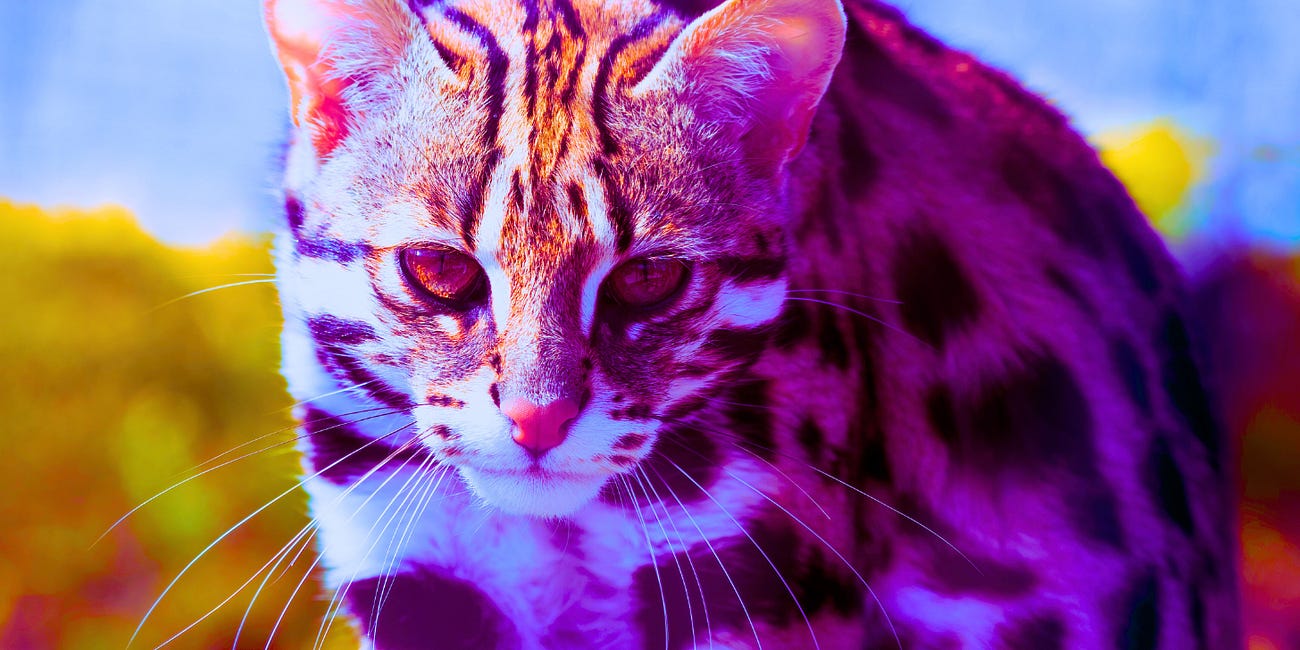 First Wild Mammal Bird Flu Death in South Korea Comes After Scientists at Same University Engineered 100% Lethal H5N1 in Mammals: 'Frontiers in Veterinary Science'