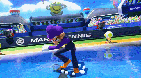 #sunsetfinchgifs from oh wow