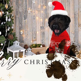 My Dog's Annual Holiday Card