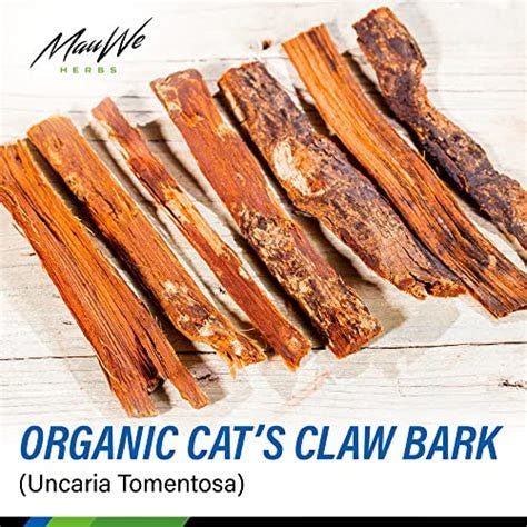 Cat's Claw Tincture 2 Fl. Oz - Cat's Claw Extract for Joint Support, Immune Support & Blood ...