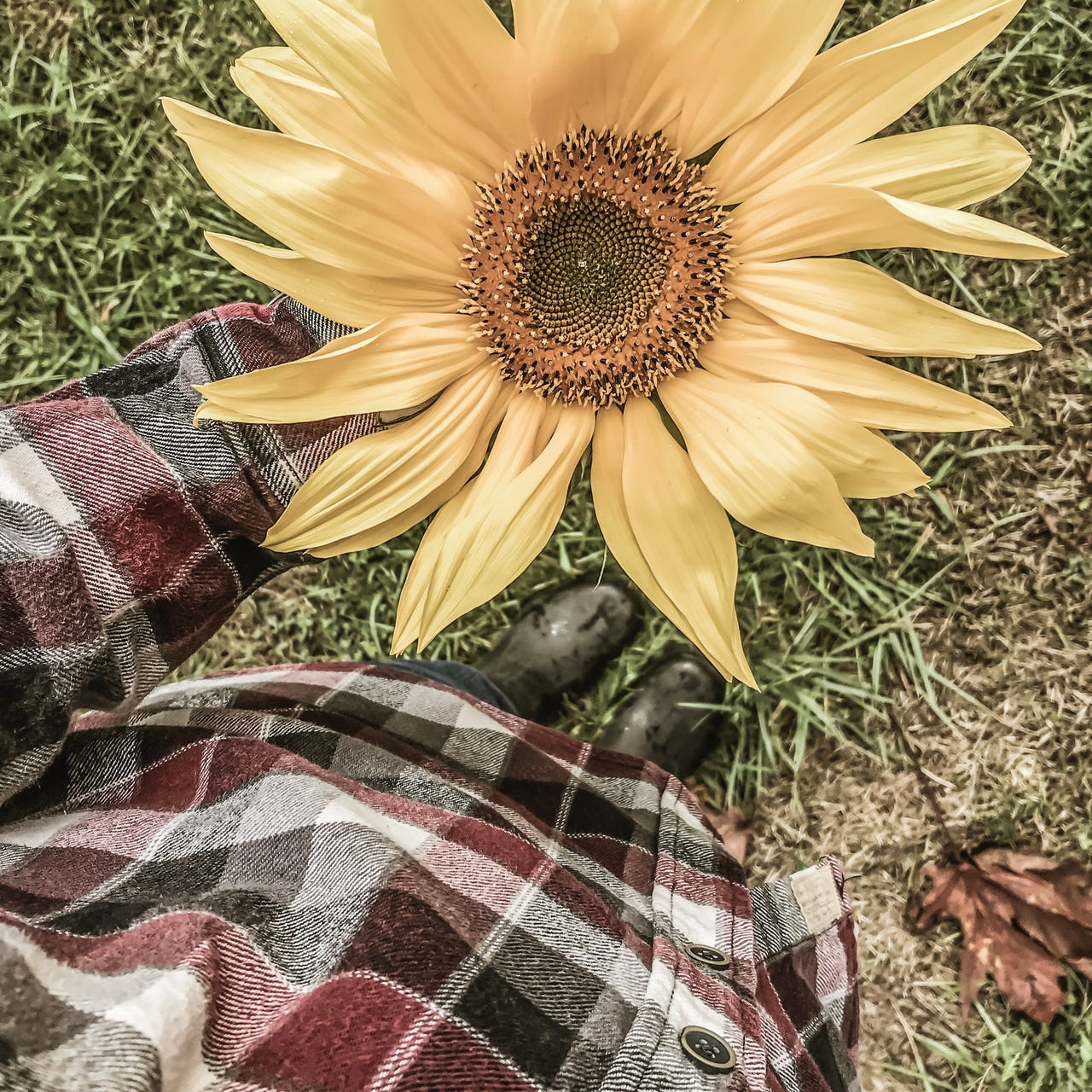 Our Songs and Seasons