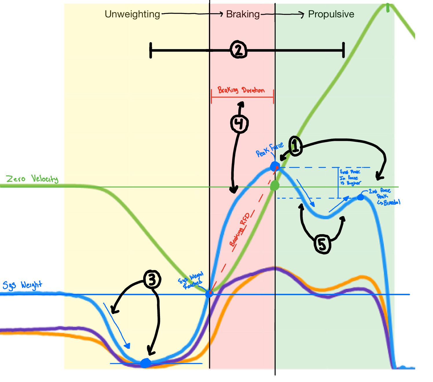 Deconstructing a CMJ Graph - Performance Science