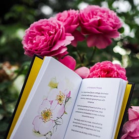 From the Book Corner | June 2026