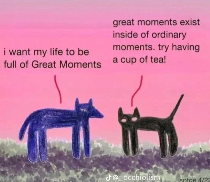 A meme of two creatures talking that says "i want my life to be full of Great Moments. great moments exist inside of ordinary moments. Try having a cup of tea!"