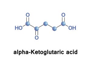 Alpha ketoglutaric acid molecule diagram