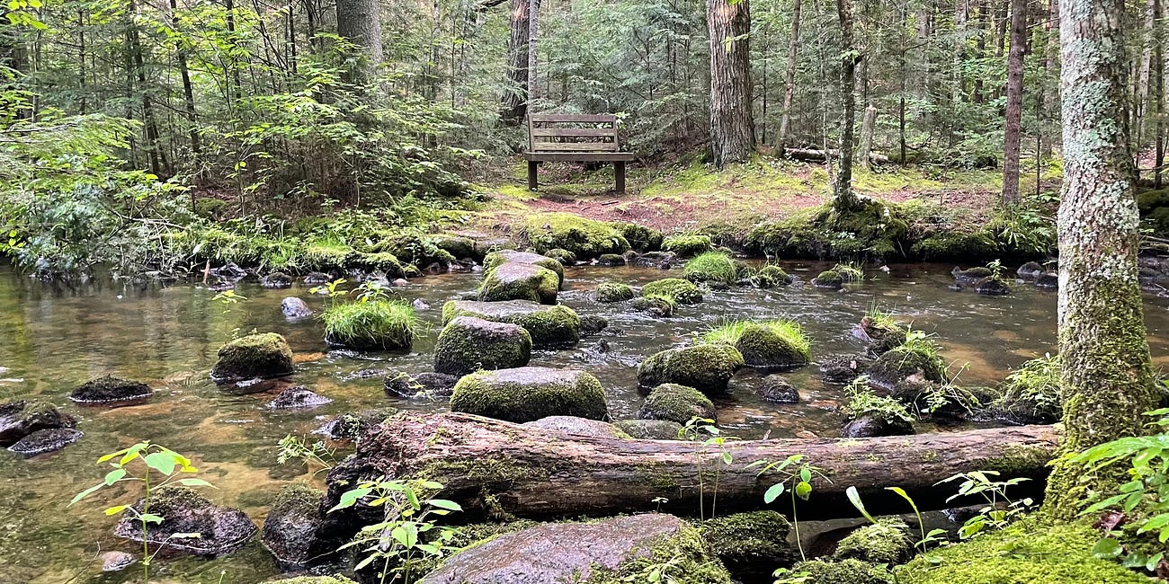 Midwest Hiking for Aspiring Naturalists