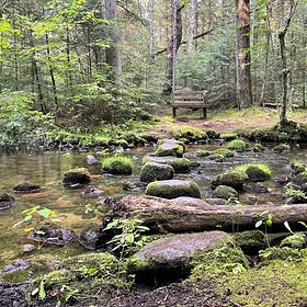 Midwest Hiking for Aspiring Naturalists