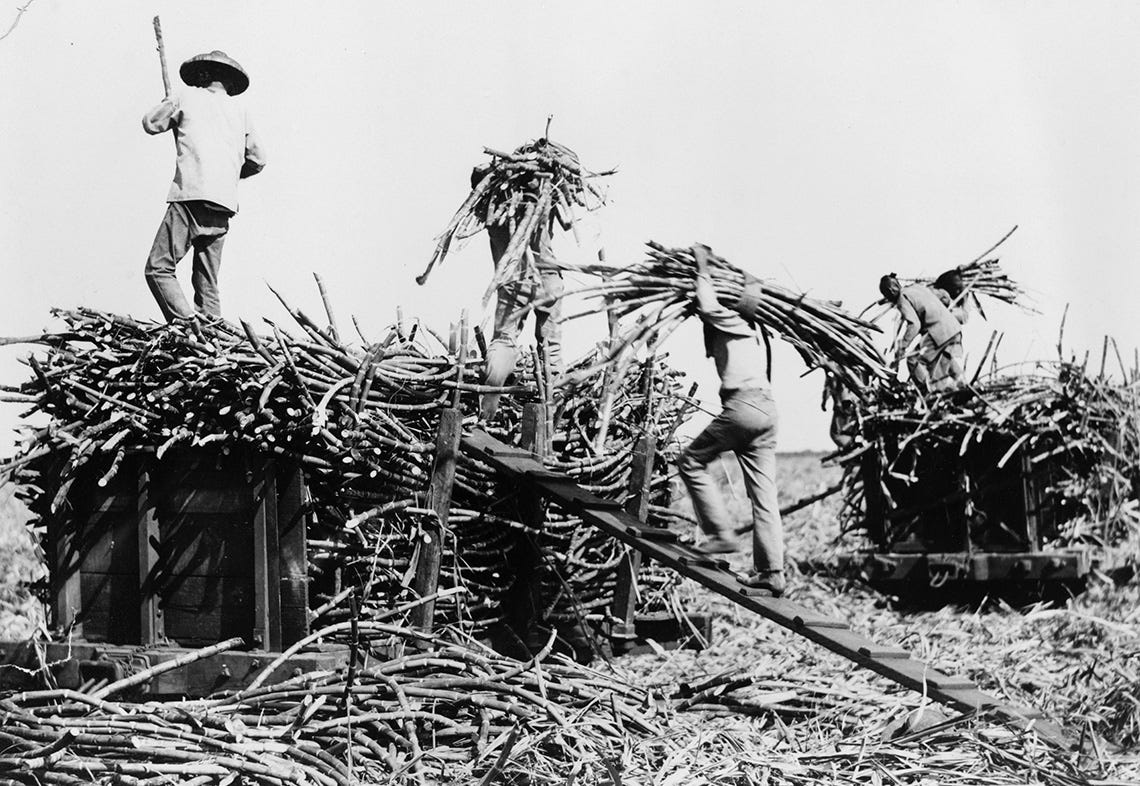 Holehole Bushi: Franklin Odo on the Work Songs of Japanese ...